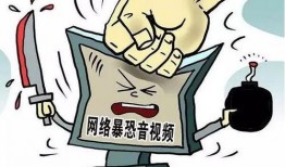 会昌学生爆料盗窃案件视频,会昌学生齐心协力追踪嫌疑人